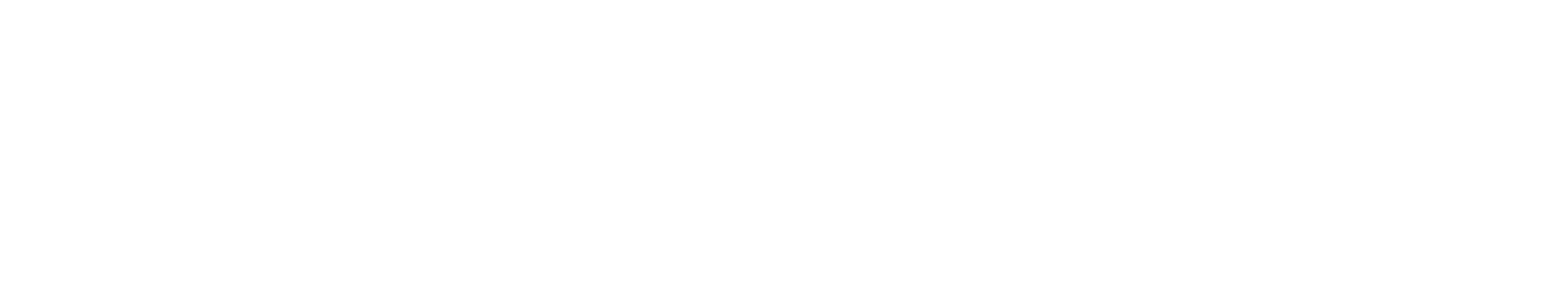 Our Vision